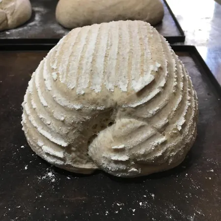 Szálloda Casas Arana - Parque Nacional De Ordesa