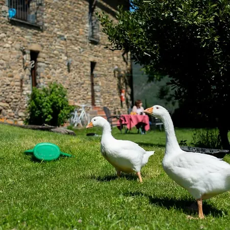 Casas Arana - Parque Nacional De Ordesa *