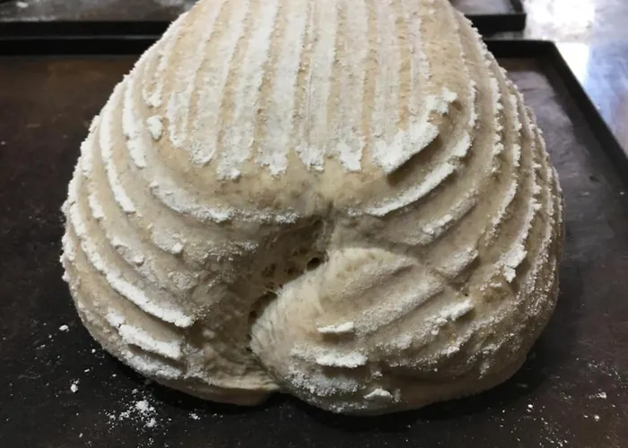 호텔 Casas Arana - Parque Nacional De Ordesa