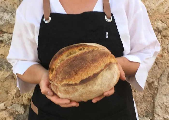 Casas Arana - Parque Nacional De Ordesa 호텔 *