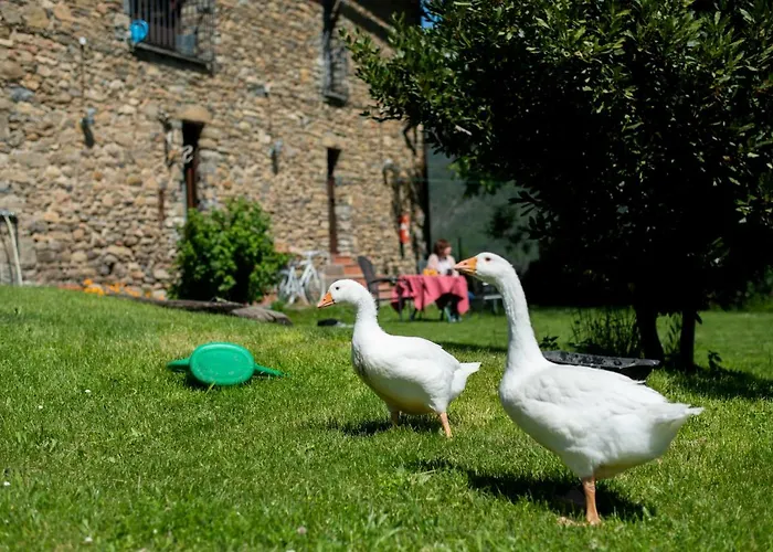 Casas Arana - Parque Nacional De Ordesa *